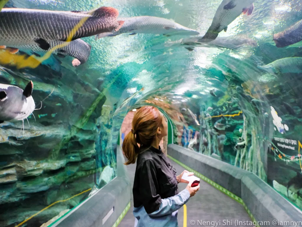 Lotte World Aquarium - Lotte World Seoul Korea Selatan